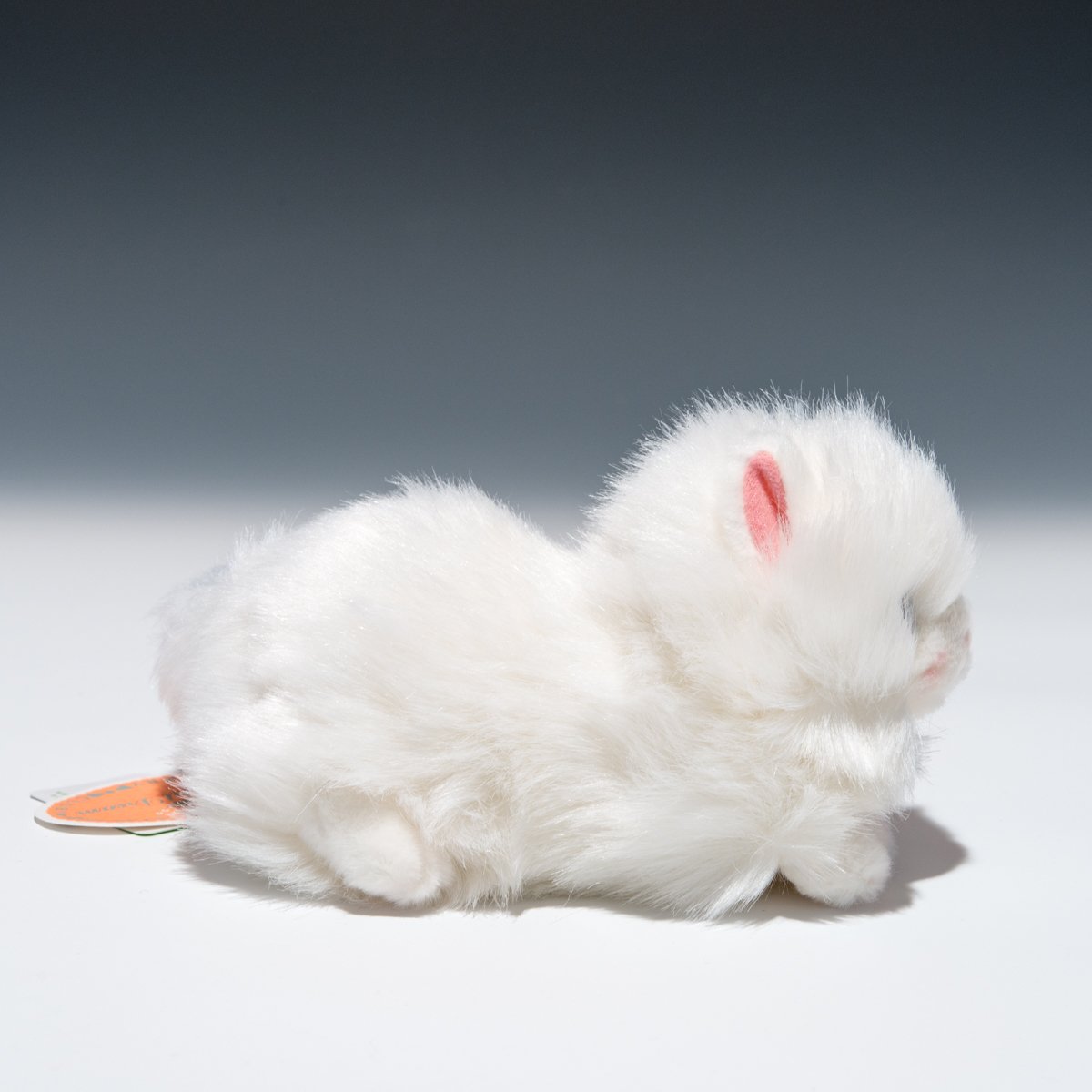 Amazon.co.jp: たけのこ プチどりーむ ミニ A ペルシャネコ ぬいぐるみ